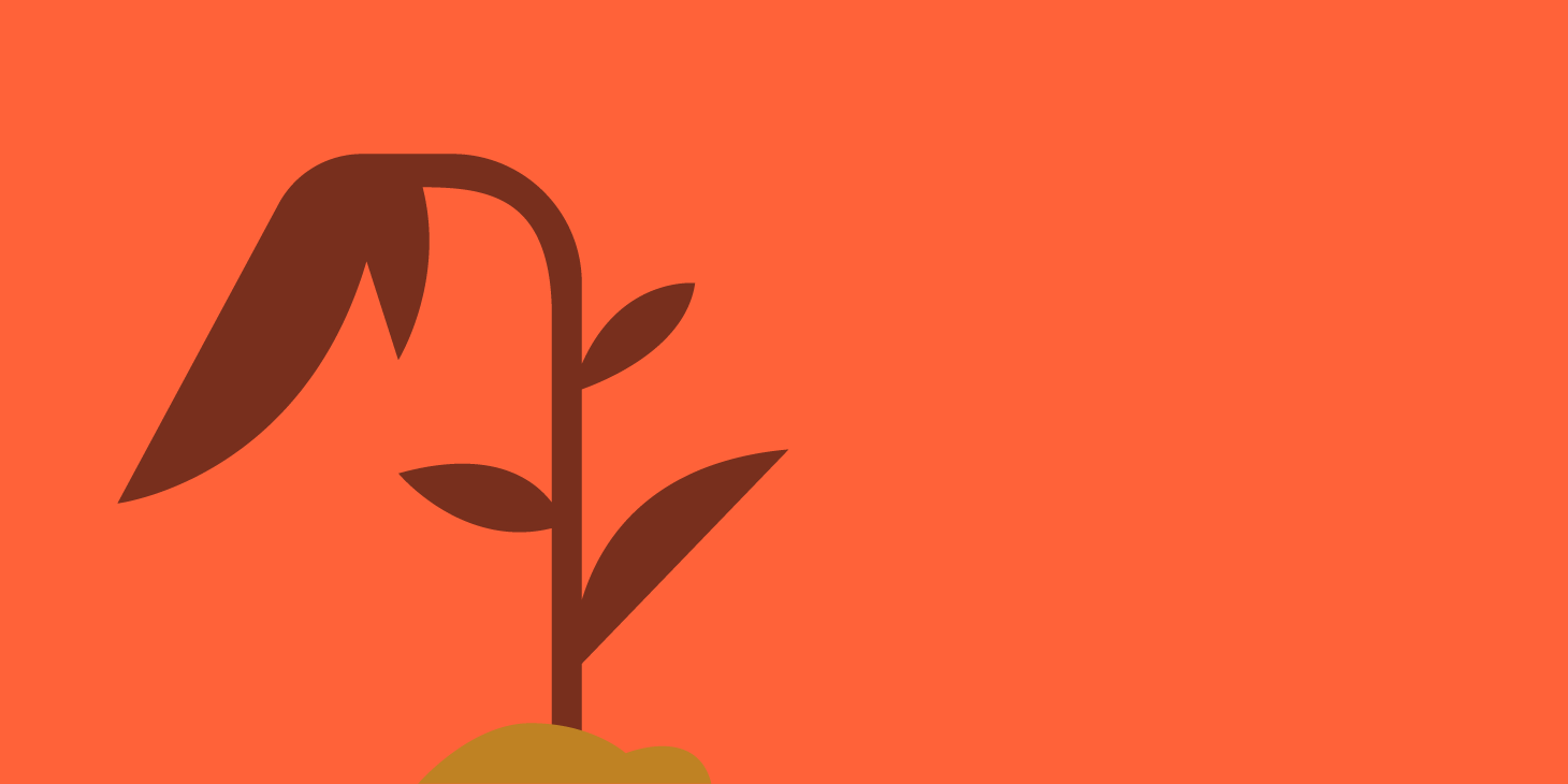 Sequías en México 2025: cómo Sinaloa y otras regiones se recuperan con la temporada de lluvias | Mapasin